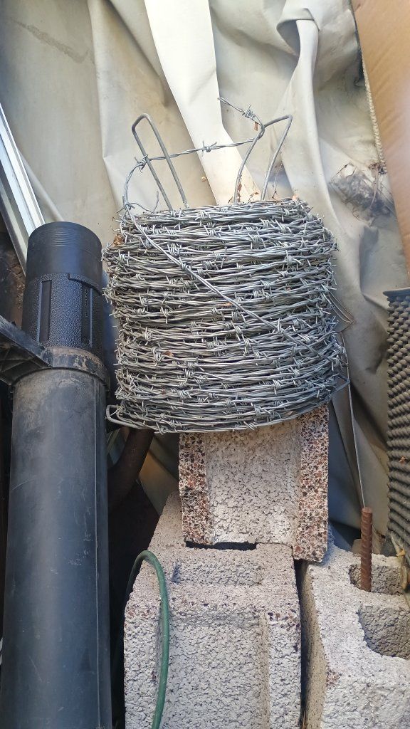 Barbed Wire
