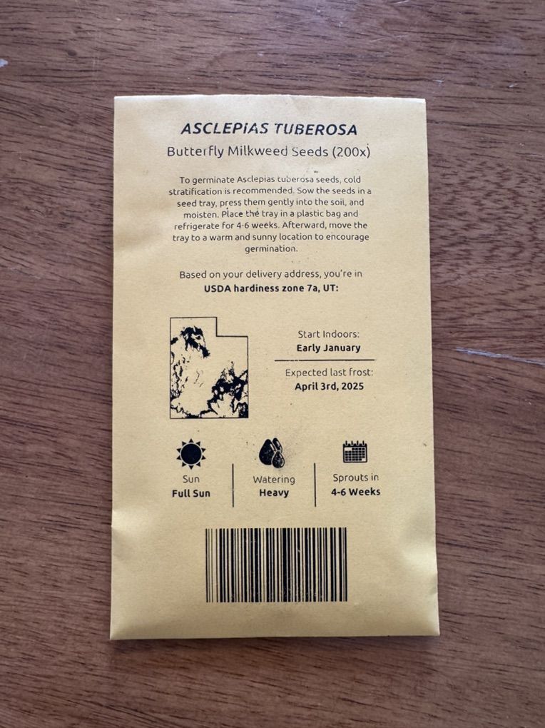 Seeds (Butterfly Milkweed)