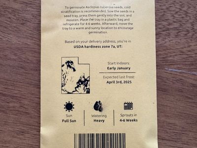 Seeds (Butterfly Milkweed)