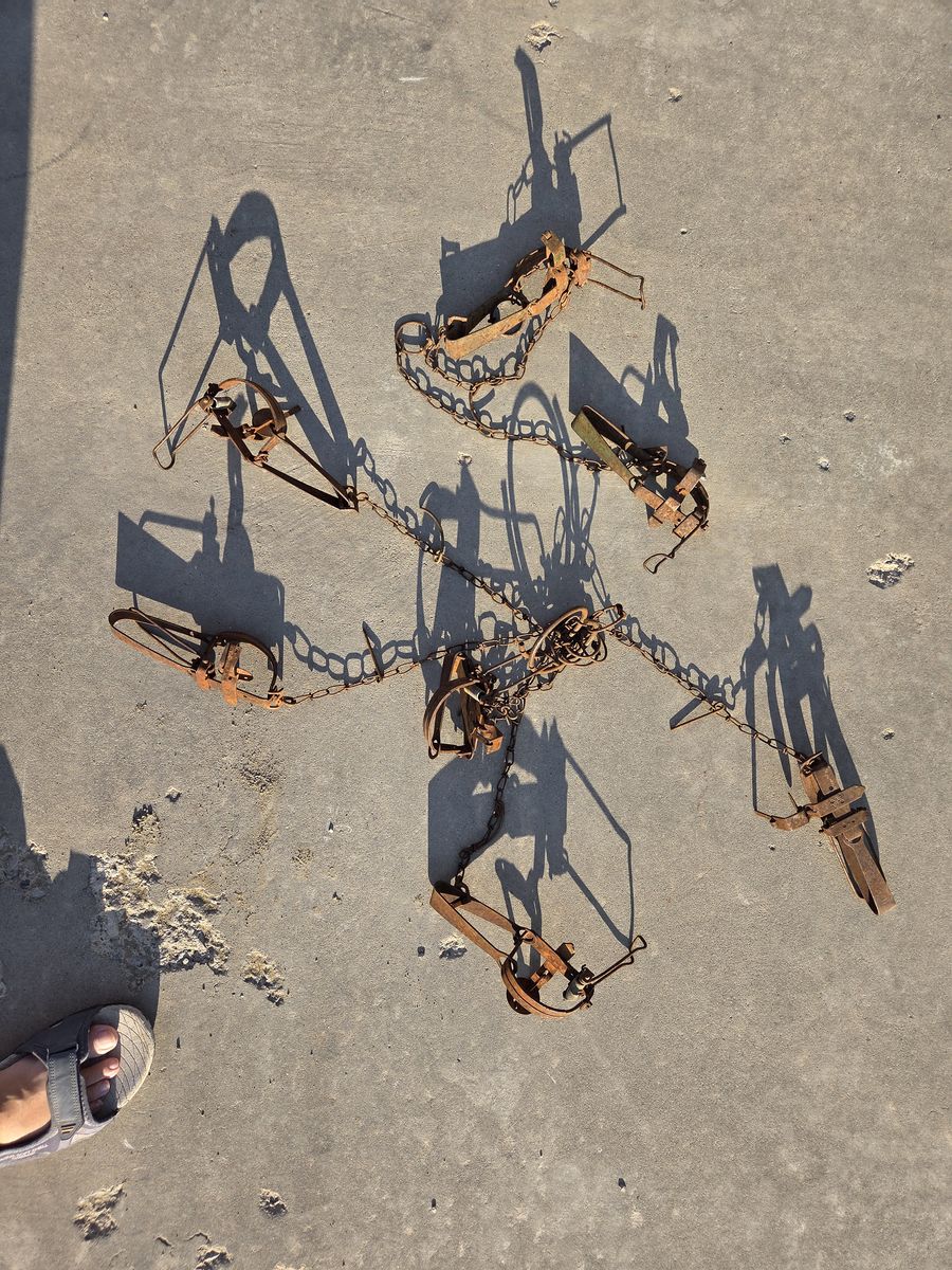Antique TRAPS!