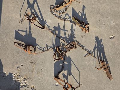 Antique TRAPS!