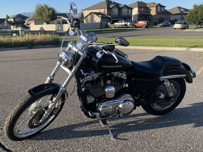 2004 Harley-Davidson Roadster 1200 custom