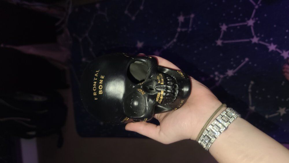 Halloween Anatomy Skull