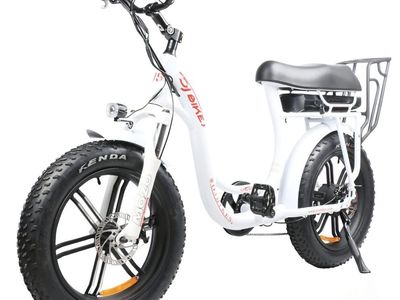DJ Bikes electric bike with fat tire