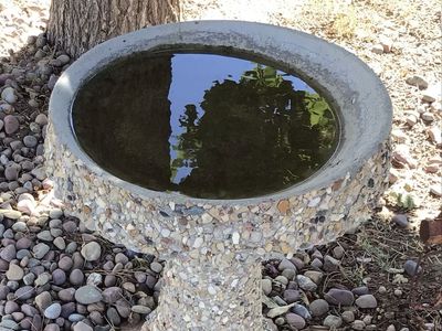 Bird Bath