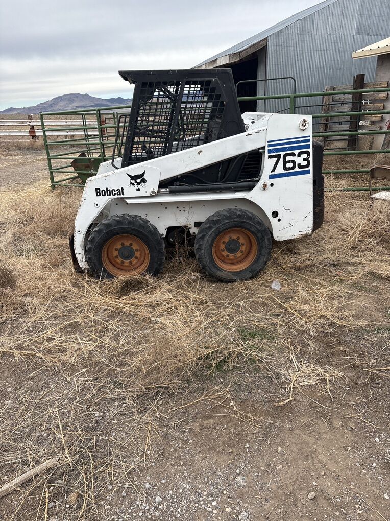 763 Bobcat