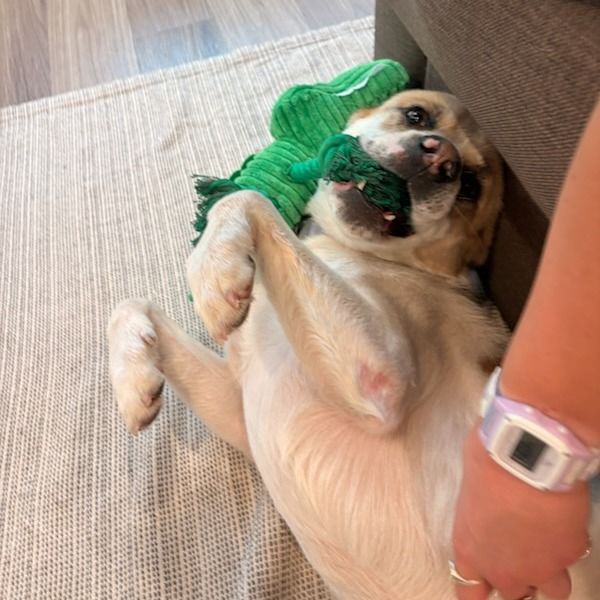 Hello my name is Colby