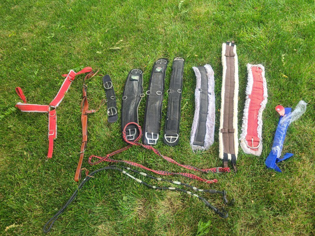 horse tack, smart Cinch, collar, reins