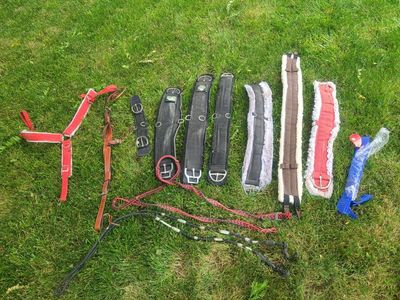horse tack, smart Cinch, collar, reins