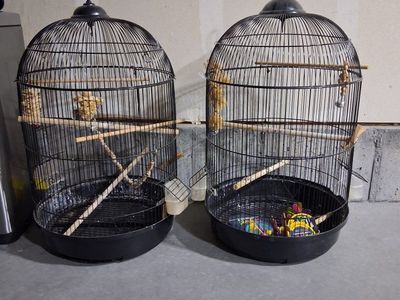 Pair of Used Black Bird Cages with Perches & Feeders - Good Condition