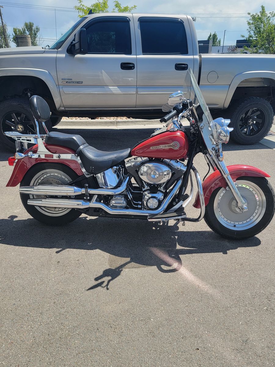 2006 fatboy