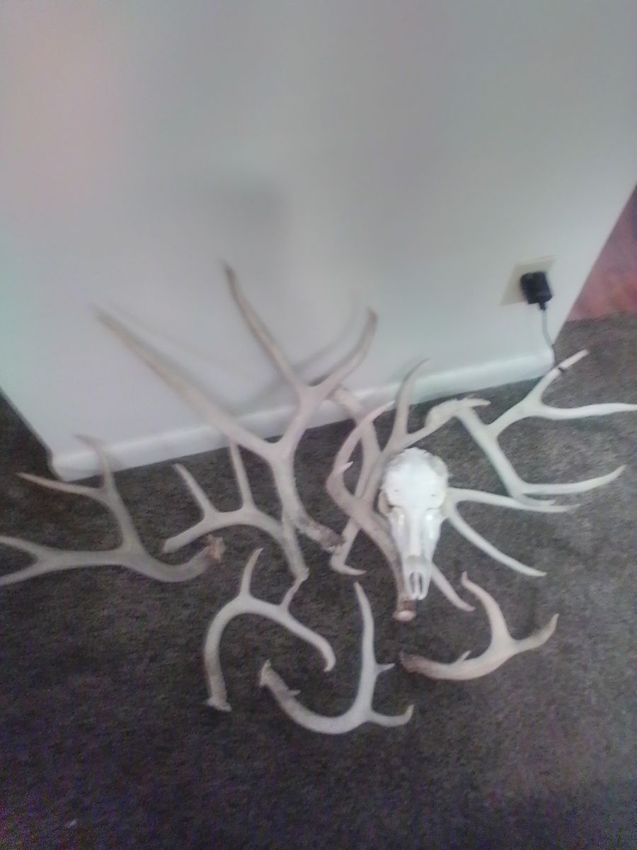 Some very large misalaneas