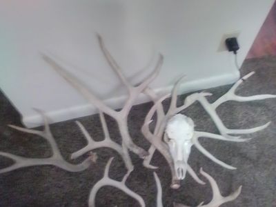 Some very large misalaneas