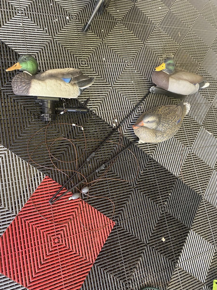 Lucky duck swimmer 2.0