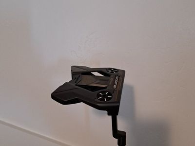 Cobra 3D Printed Agera Arm Lock Putter