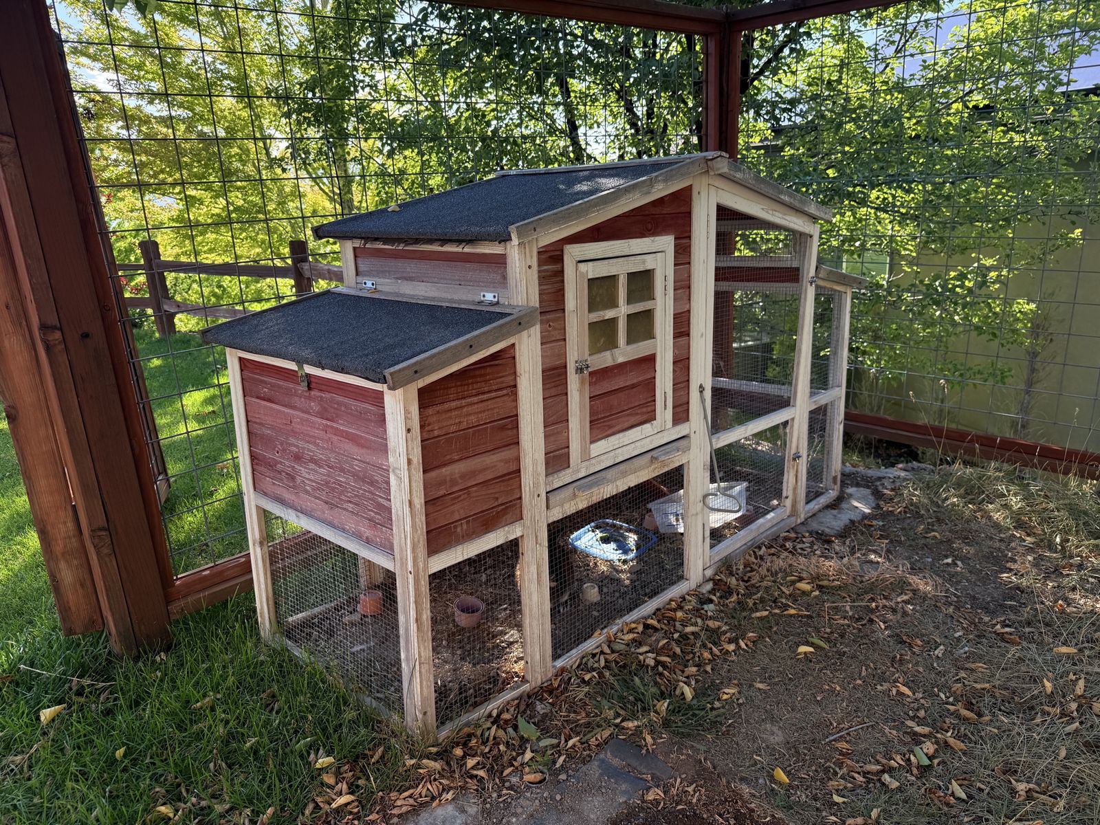 Main image 5