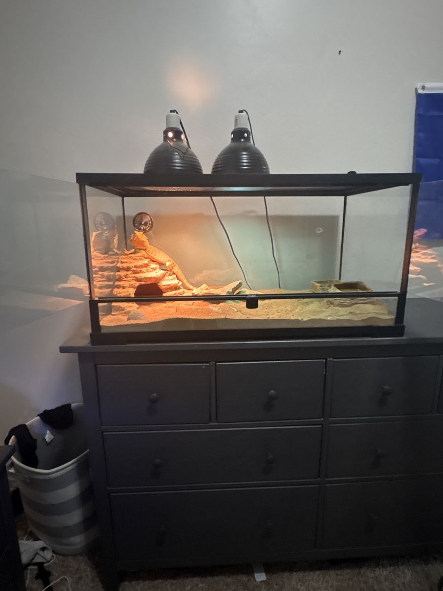 Main image 6