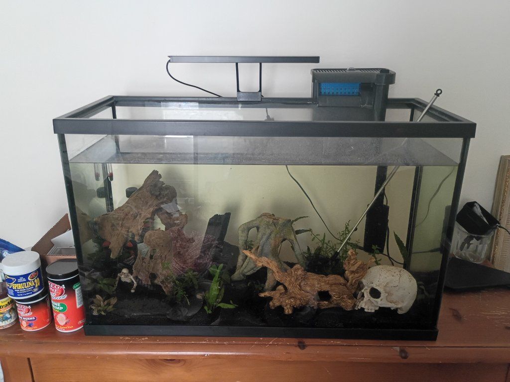 Large aquarium, decor and supplies