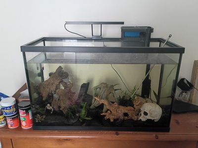 Large aquarium, decor and supplies