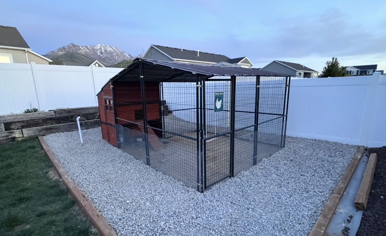 Chicken coop/run and small separate coop/cage and 9 laying hens
