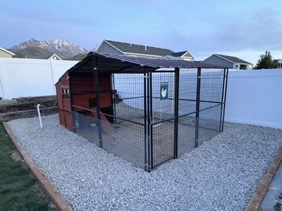 Chicken coop/run and small separate coop/cage and 9 laying hens