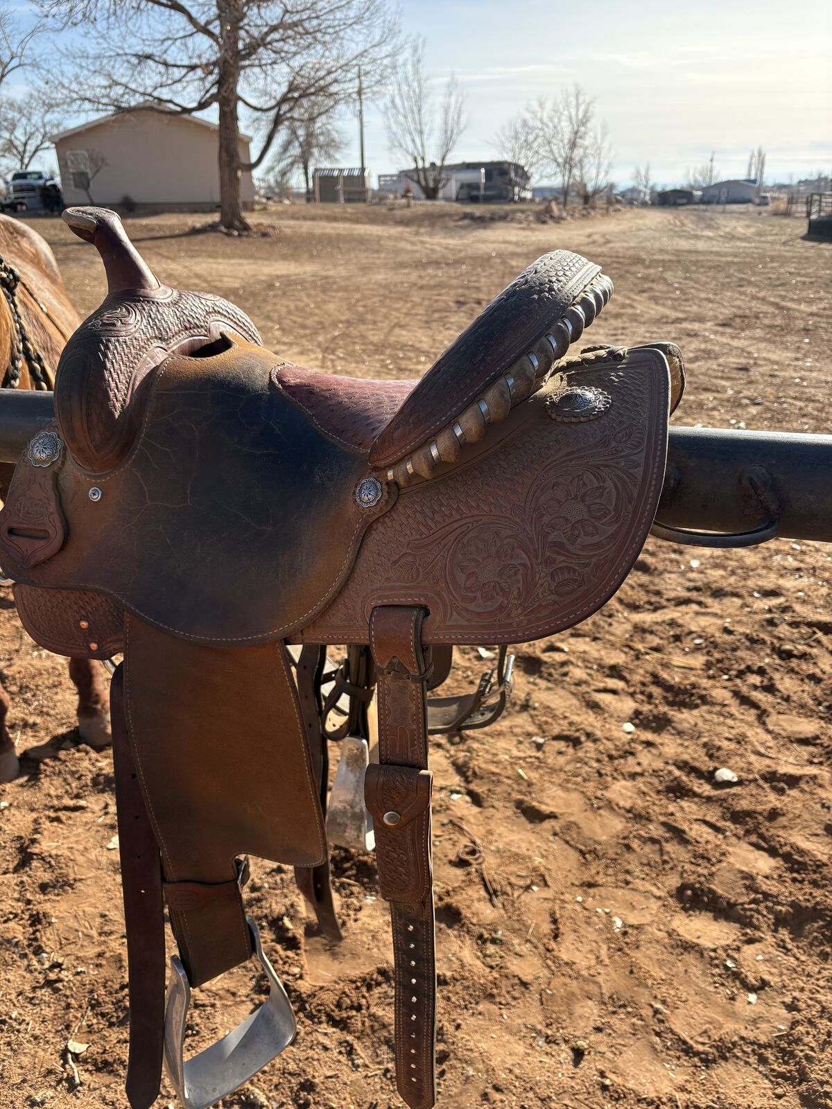 Women’s Cactus Barrel Saddle