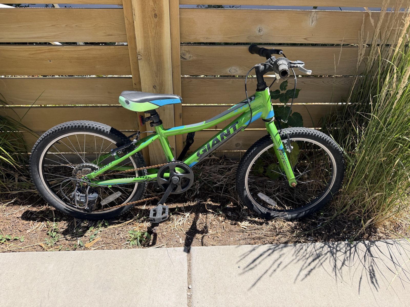 Kids mountain bike Giant green