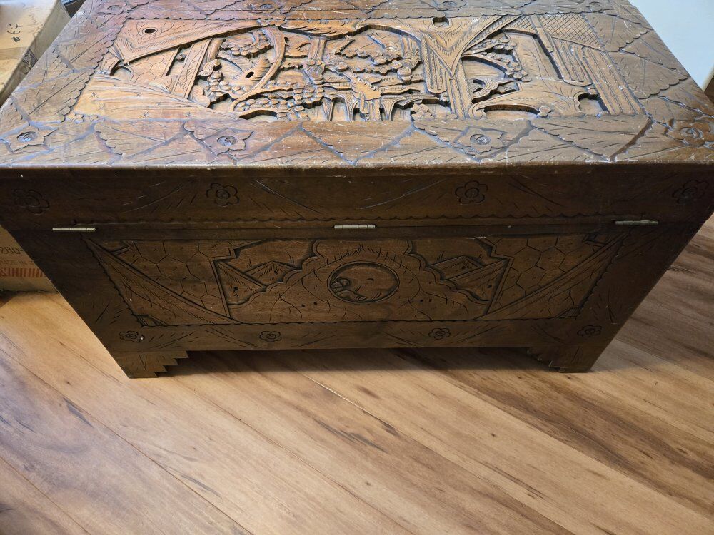 Asian Cedar Trunk