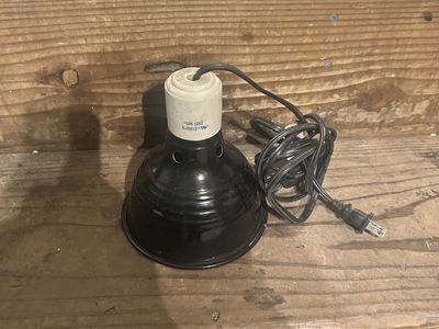 Reptile lamp