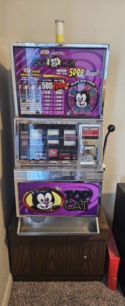 Top Cat by Williams Slot Machine