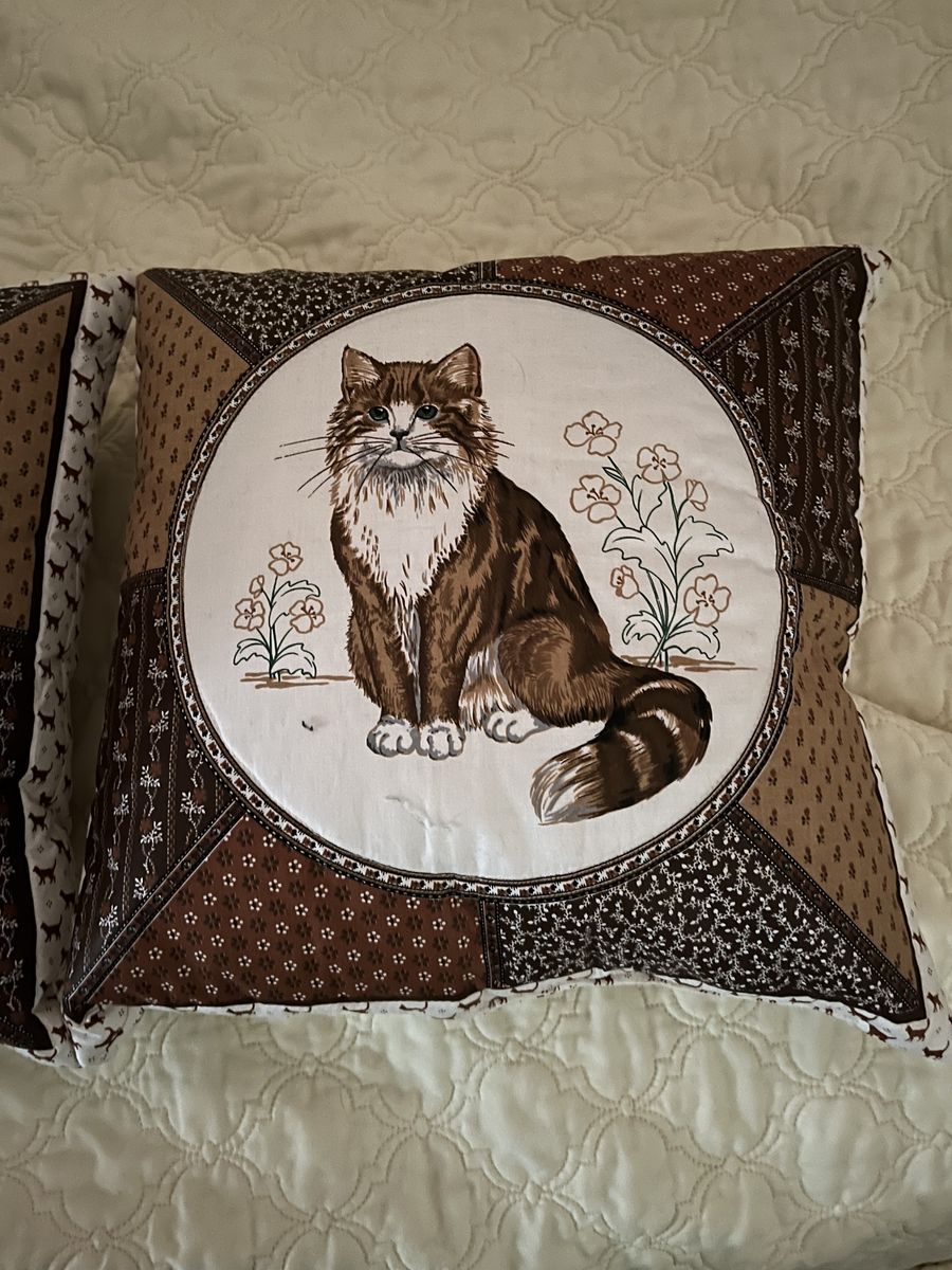 cat pillow