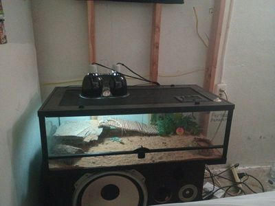 35 gallon front opening enclosure