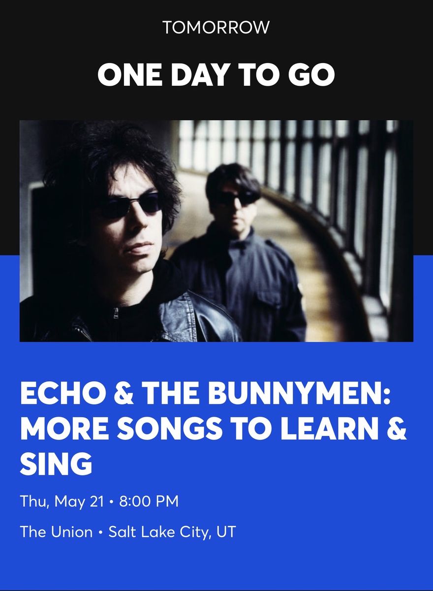 Echo and the Bunnymen
