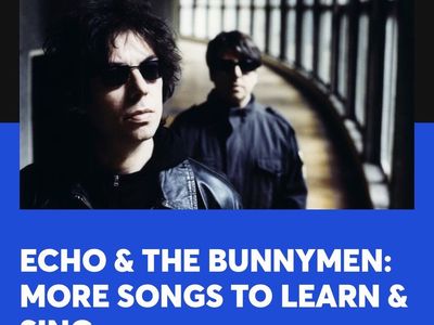 Echo and the Bunnymen