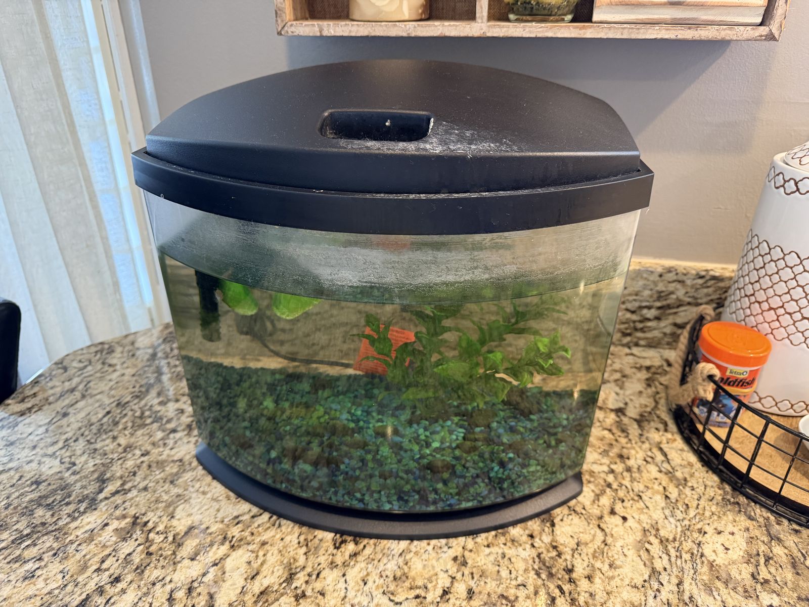 5 gallon fish tank
