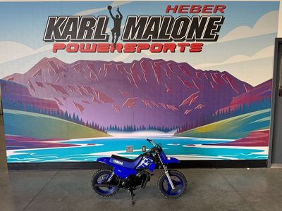 2026 Yamaha PW50 Team Yamaha Blue - Y17111-C