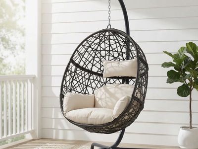 hanging Egg Chair