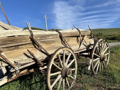 Authentic Antique Horse-Drawn Farm Wagon | Western Ranch Decor | Early 1900s | Wagon Wheels