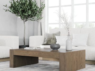 Pike & Main Jaxon 55" Coffee Table- Costco