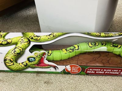 New Robot pet Python snake