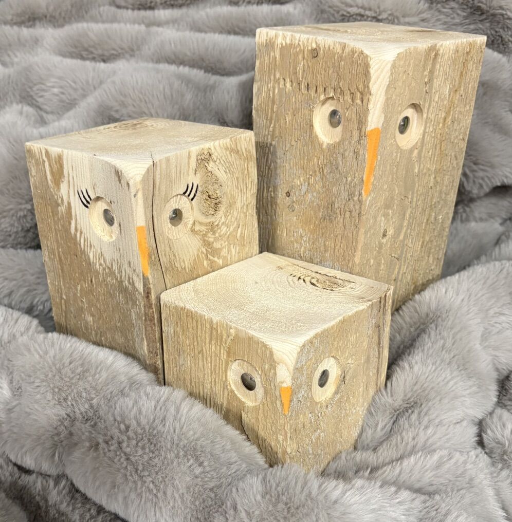 DECOR Barn Owl family