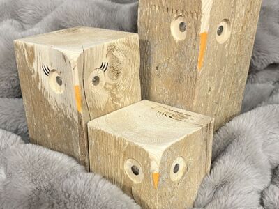 DECOR Barn Owl family
