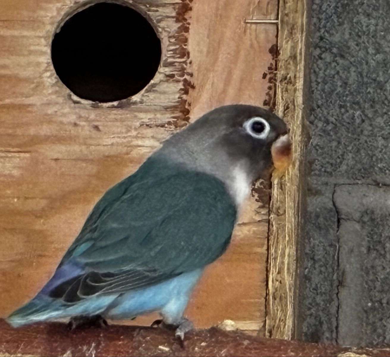 Main image 4