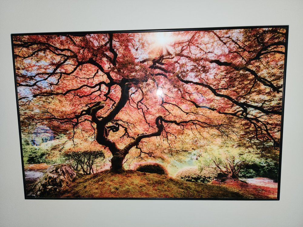 Beautiful Framed Wall Art - Vibrant Autumn Tree Landscape Print, Black Frame
