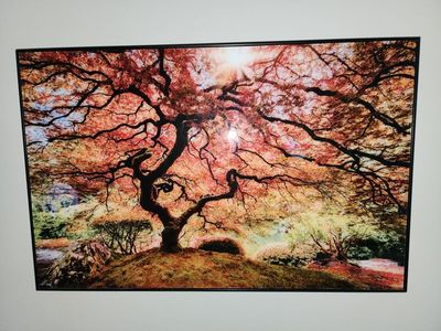 Beautiful Framed Wall Art - Vibrant Autumn Tree Landscape Print, Black Frame