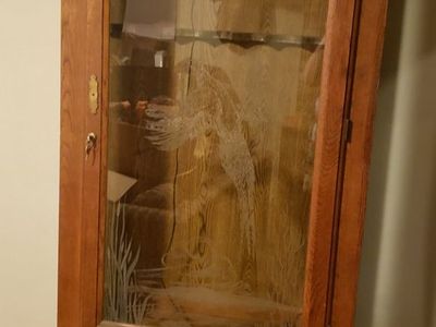Gun Cabinet