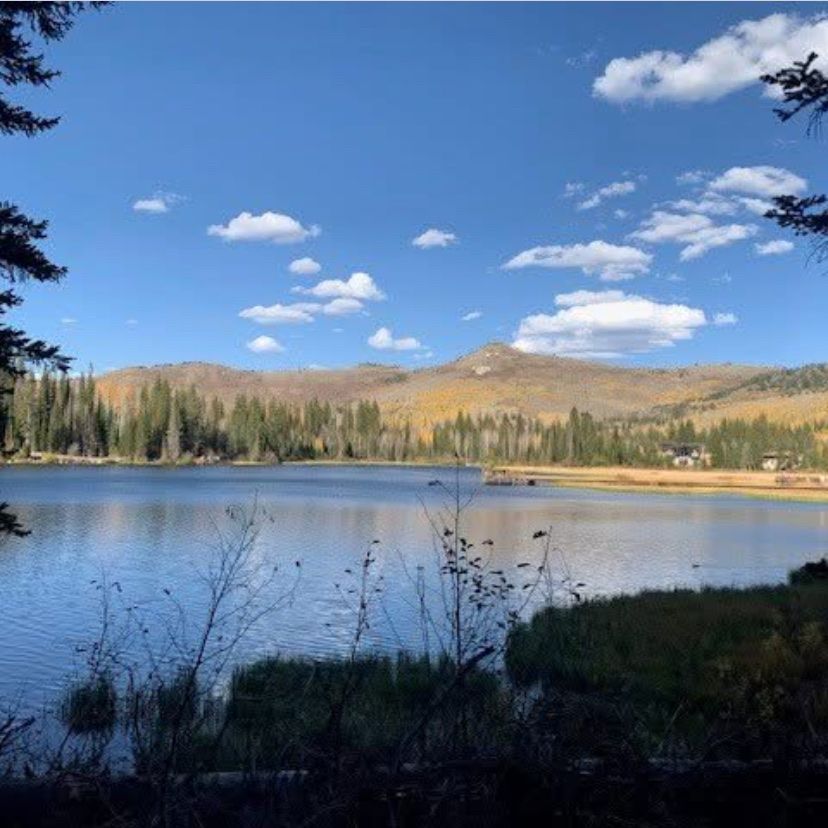 Water Share-Settlement Canyon