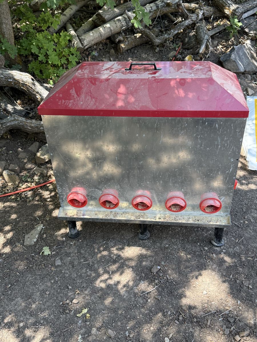 Chicken feeder