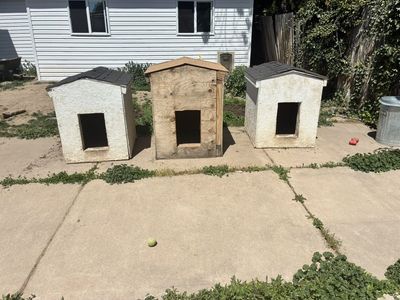 Dog Houses