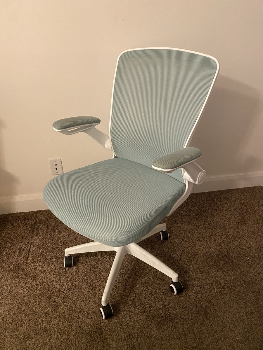 Ergonomic Office/Gaming Chair